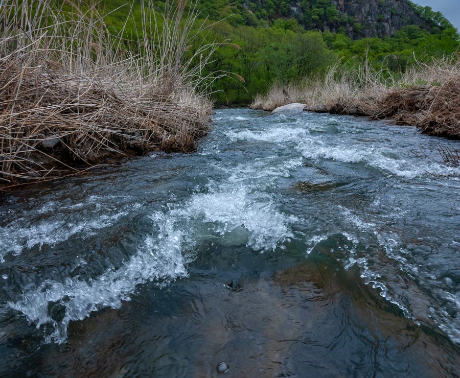 2009-05-16 Tigrovaya