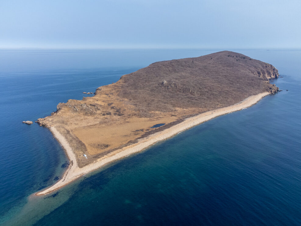 2025-04-25 Pticy ostrovov Morskogo Zapovednika