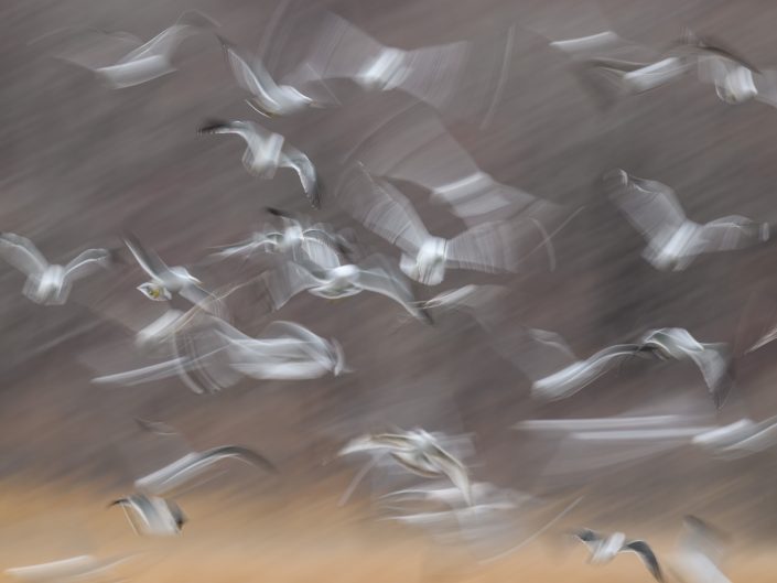 2026-04-13 Ahlestysheva